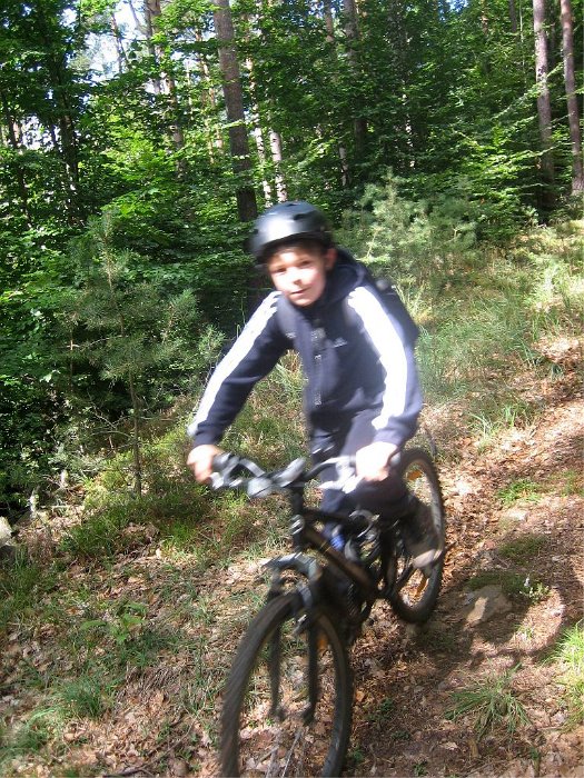 11_Tom-Tom_im_Wald
