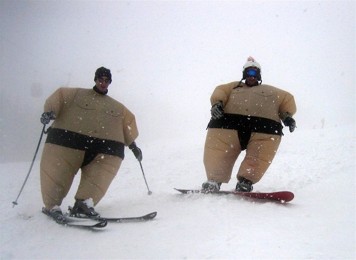 05_Sumofahrer