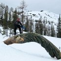 SFZ-2010_(24)