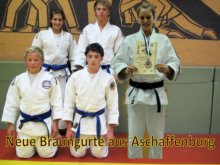 Neue-Braungurte