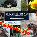 2006_Frankfurter_Zoo
