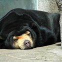02_Mr_Petz_schlaeft