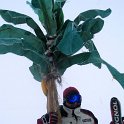 16_Schneepalmen