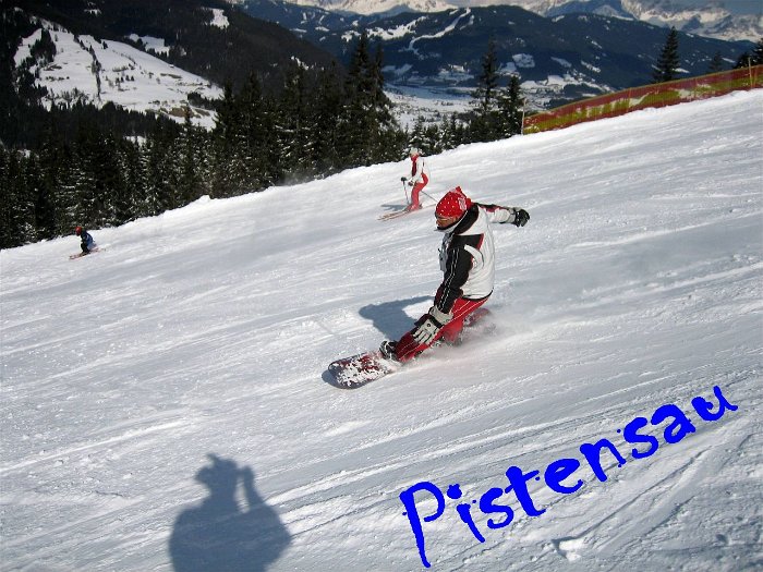03_Pistensau