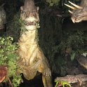 2007_Europapark-Rust