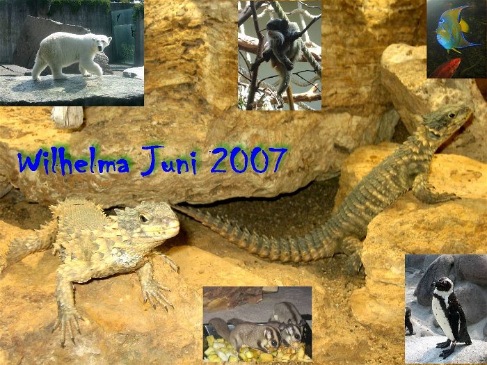 19_Wilhelma-2007