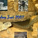 19_Wilhelma-2007